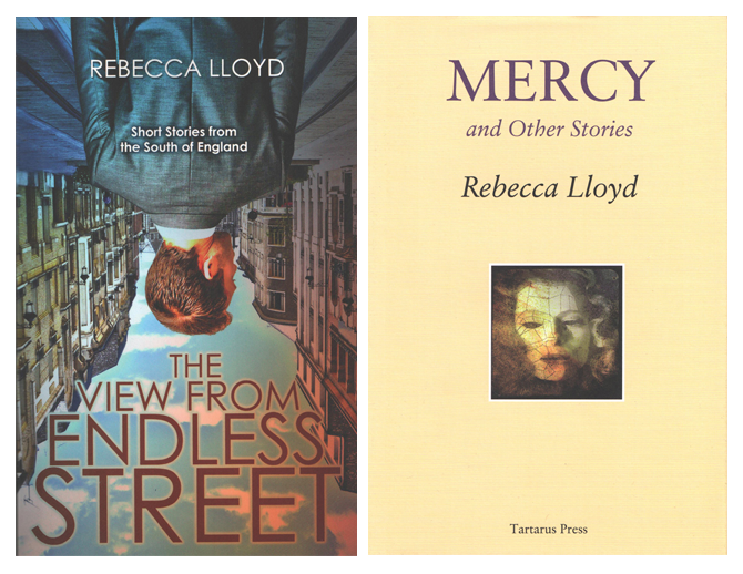 The View from Endless Street & Mercy Book Launch | Rebecca Lloyd